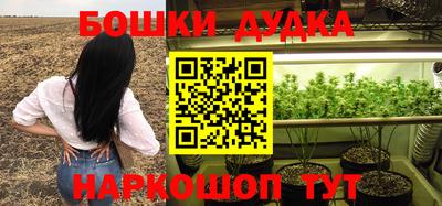 гидра Тулун