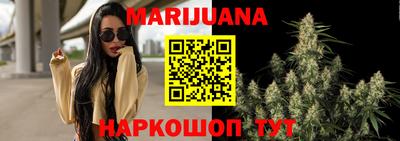 гидра Тулун
