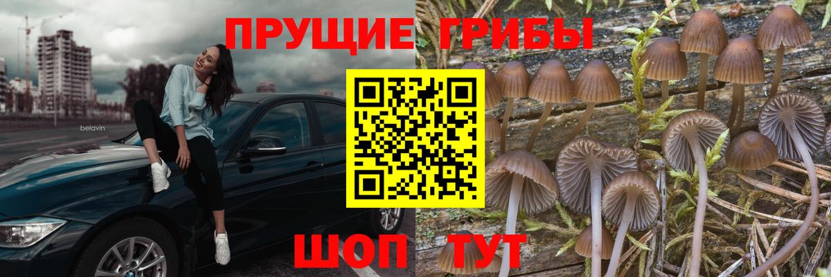 Минусинск  Галлюциногенные грибы Cubensis  где можно купить наркотик  Вход с VPN 
